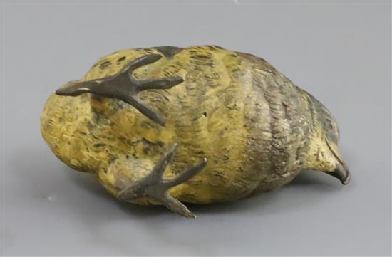 A 19th century Austrian cold painted bronze model of a fledgling, 3.5in.